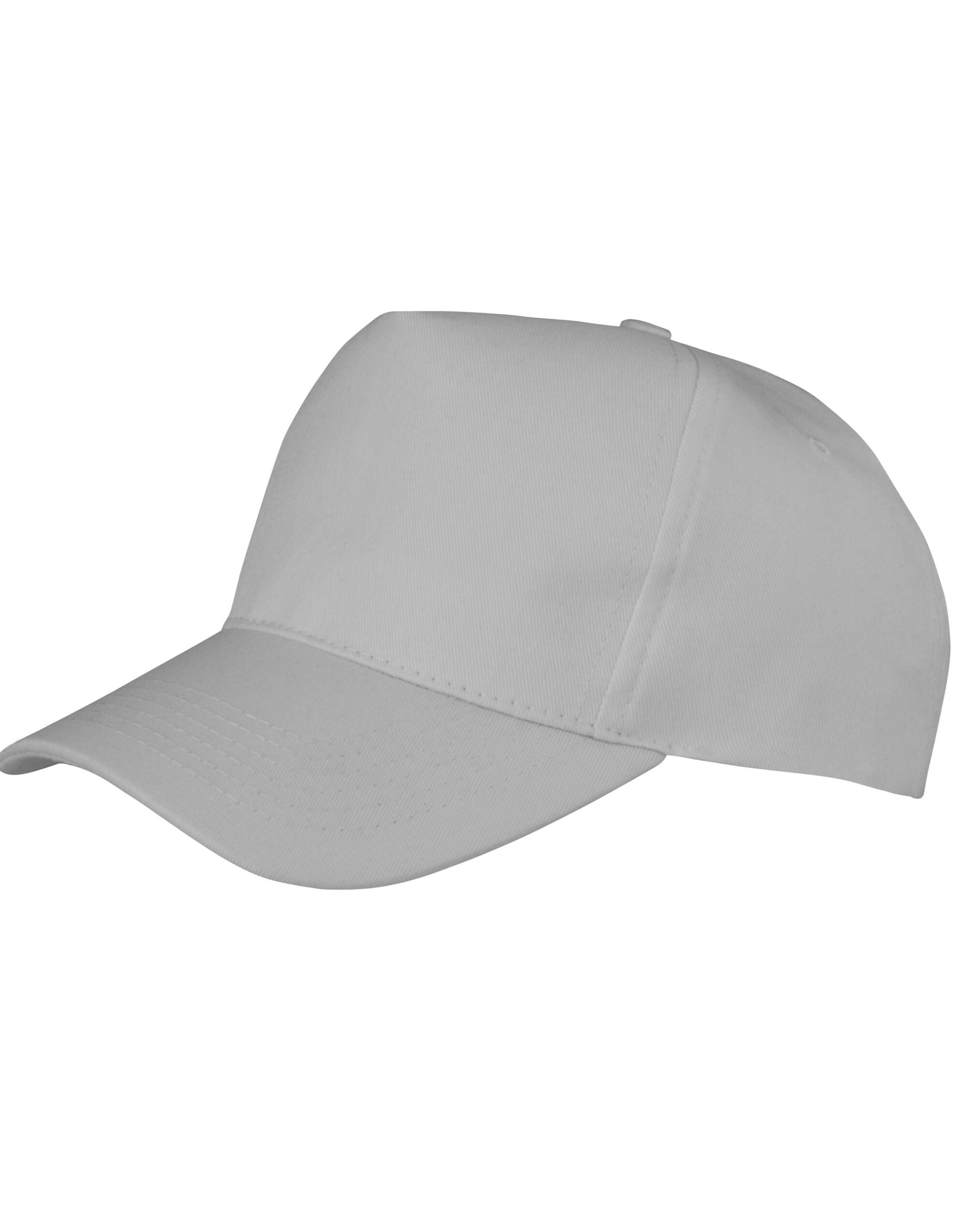 Result Core Boston 5-Panel Printers Cap RC84X