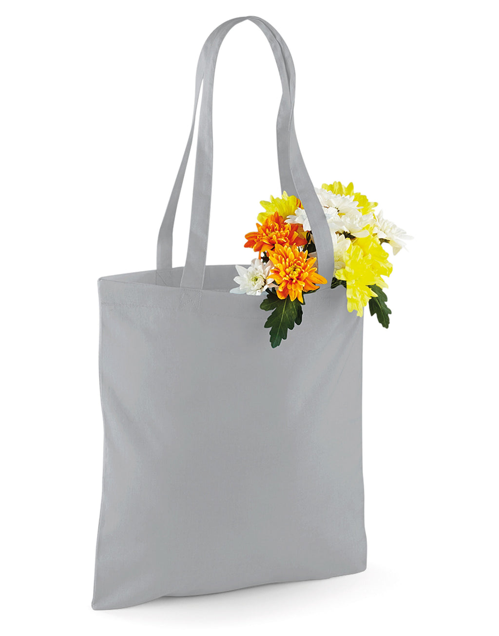 Westford Mill Bag for Life Long Handles W101